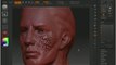 Layers in ZBrush ZBrush Tutorials ZClassroom.com