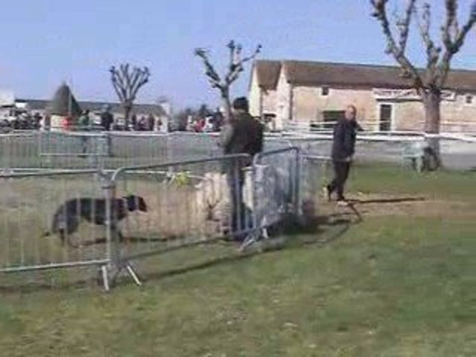 Choupette du Perouet CANT à Perigeux - partie 3