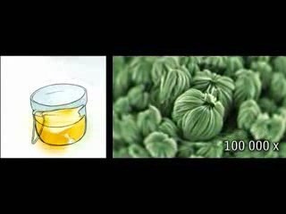 Nokia Morph  [ Nanotechnologie ]