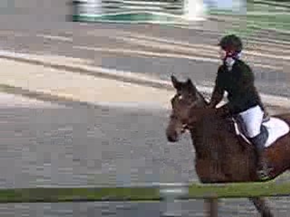 CSO Hennebont Pirouette & Minou