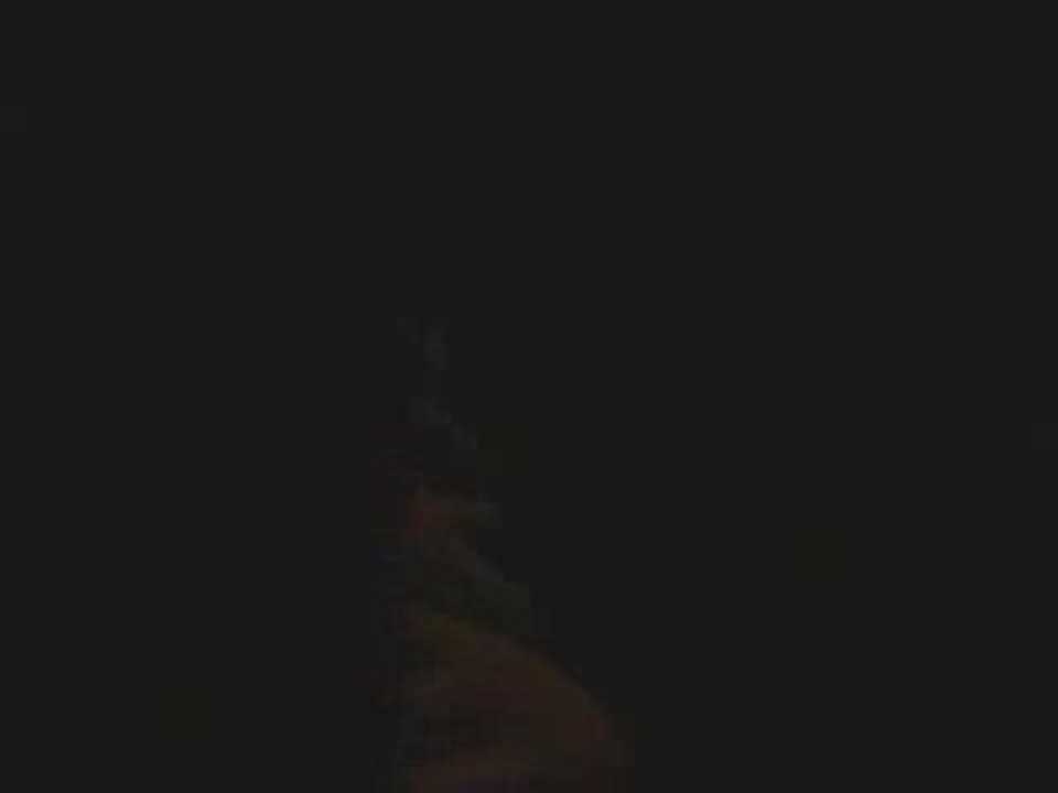 ovnis dijon 20 mars 2009,des témoins,encore des témoins!!