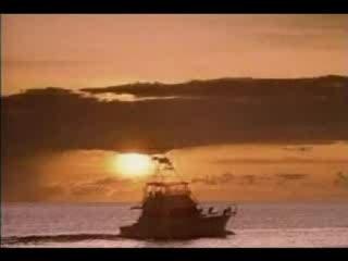 740 Boyz - Shimmy Shake