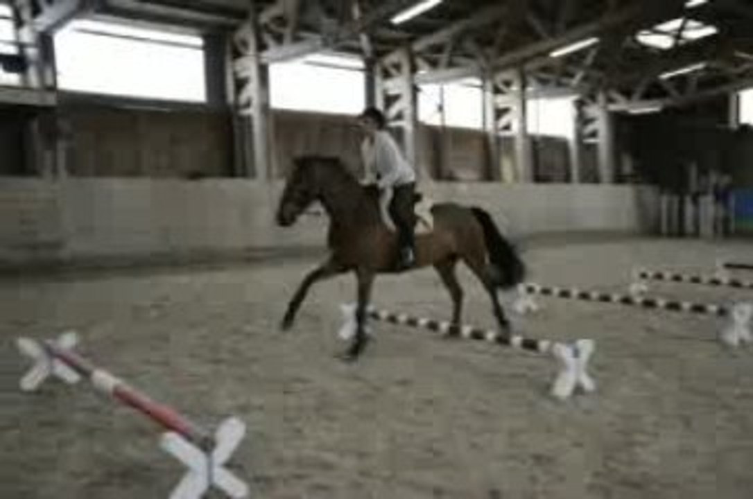 Training Andrea & Caibo