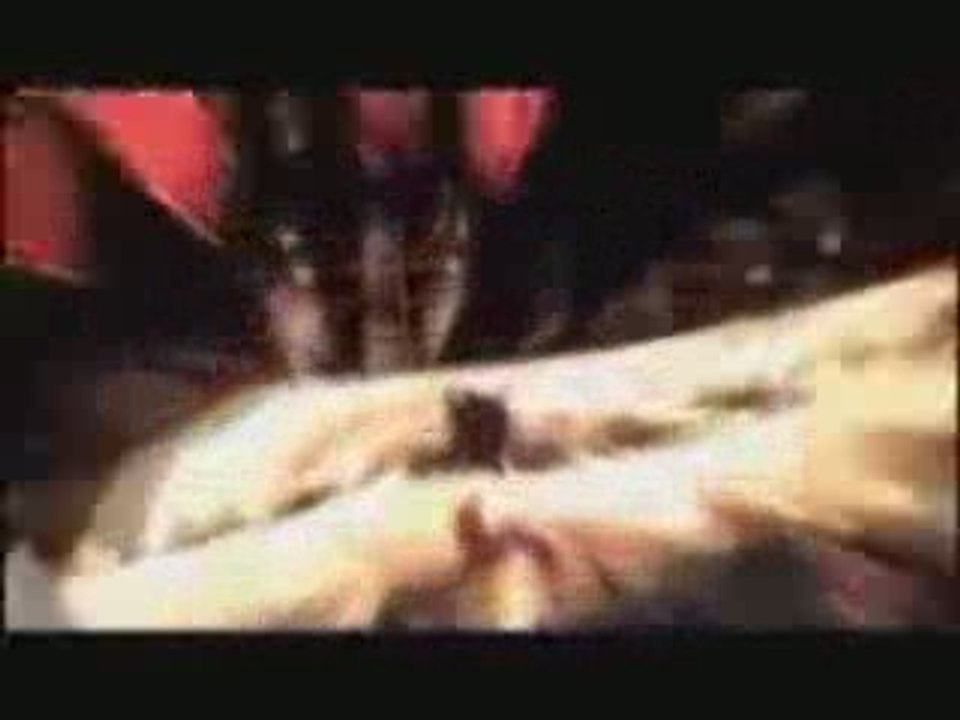 BIOHAZARD 5 Death Scenes (Chris)