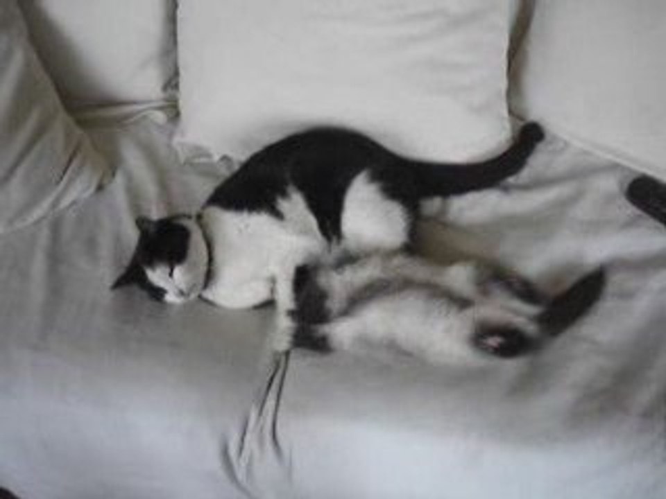 hugo et bounty