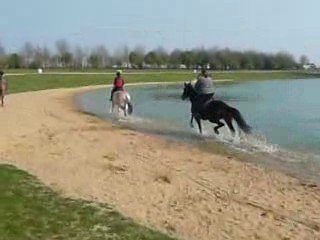 plan d'eau de villier