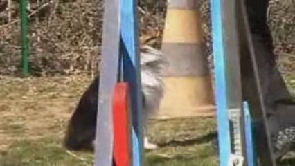 Séance Catastrophe: Mystère et Drame