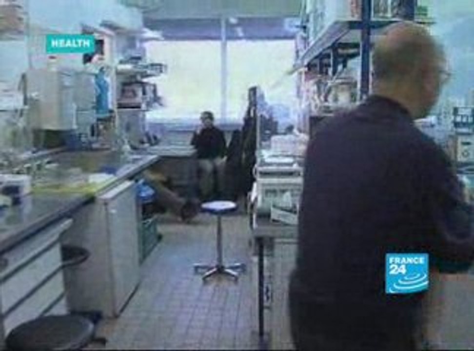 Health: guided visit of human's brain