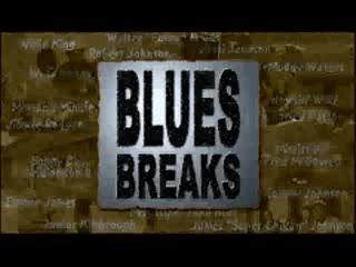 Robert Mugge - Blues Plantations