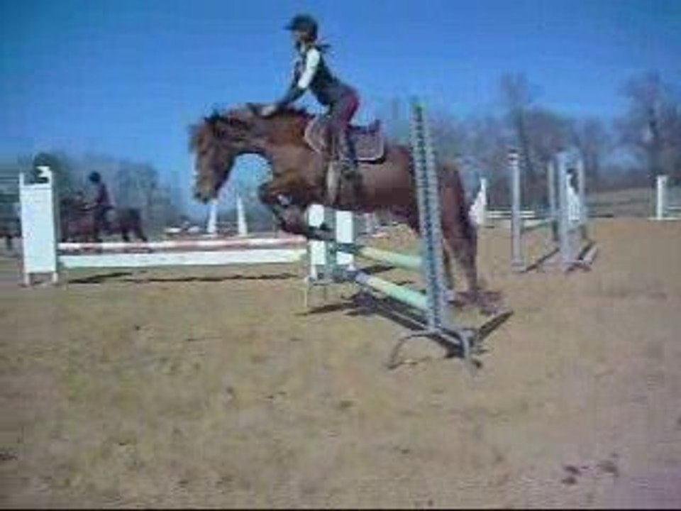 Cour de saut du 21 Mars + liberté du 22 Mars Lachez vos coms