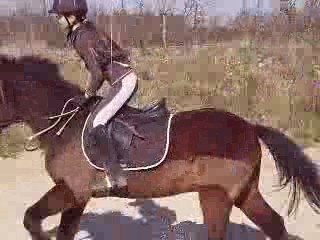 Jumping et mwa au saut