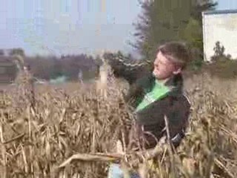 Corn War