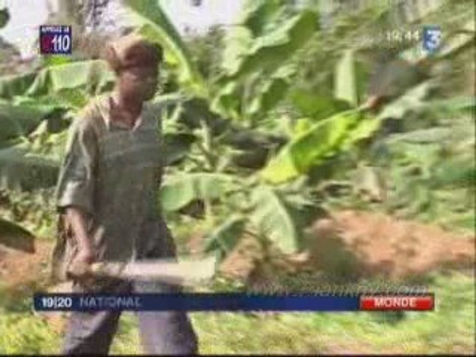 Le Cameroun gangréné par la corruption