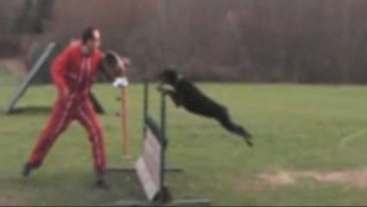 Herrin Jaminha Von Der Mooreiche