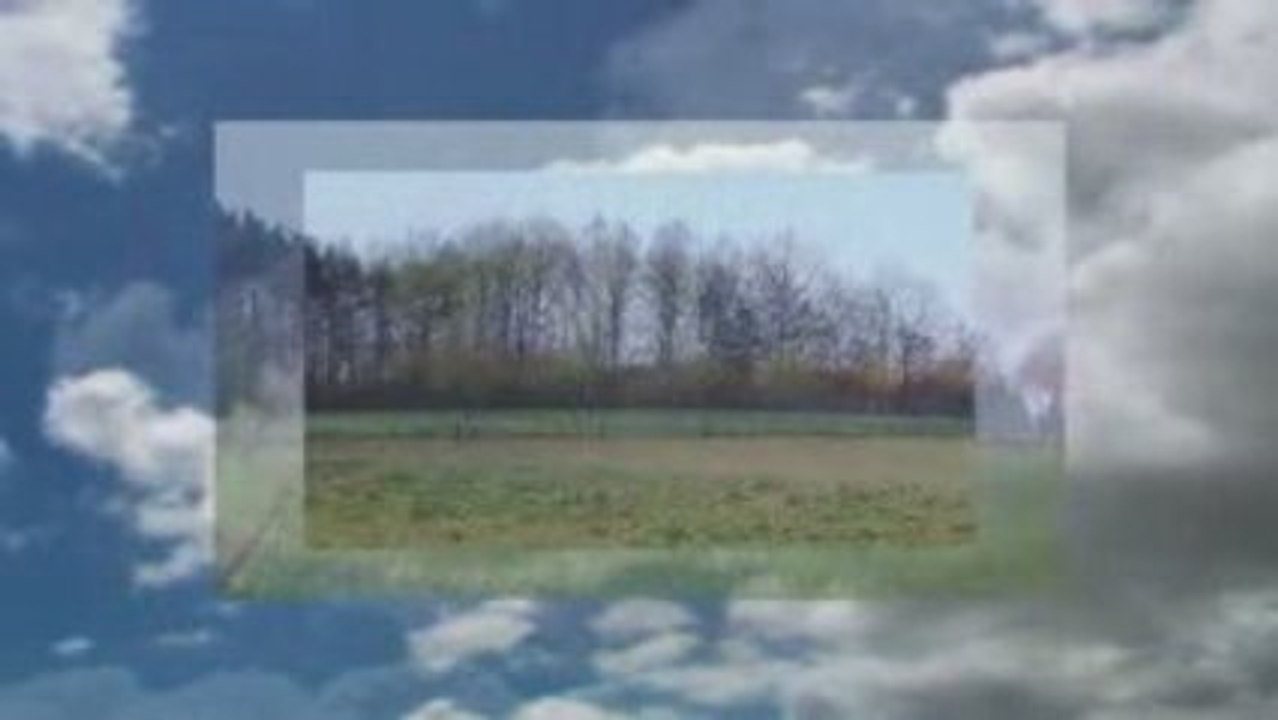 'Frühlingserwachen' Kunst Abitur 2008