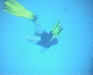 Apnee 10 métres  aqua 92