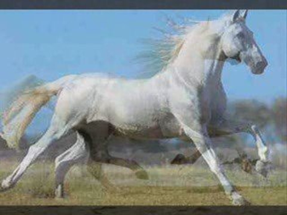 pour le plaisir des yeux