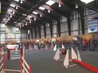 Vodka-jumping Rennes Cesson