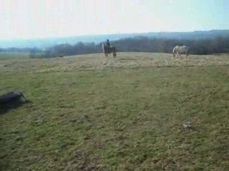 Déplacement latéral à cheval