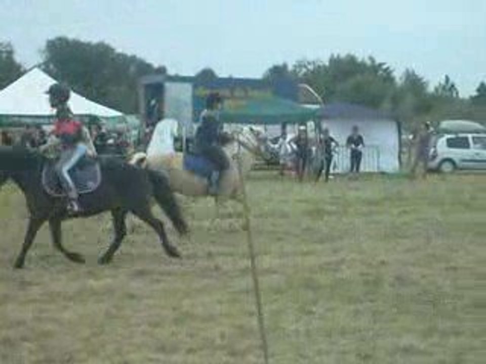 2 tasses le 15 juin 2008 pony games