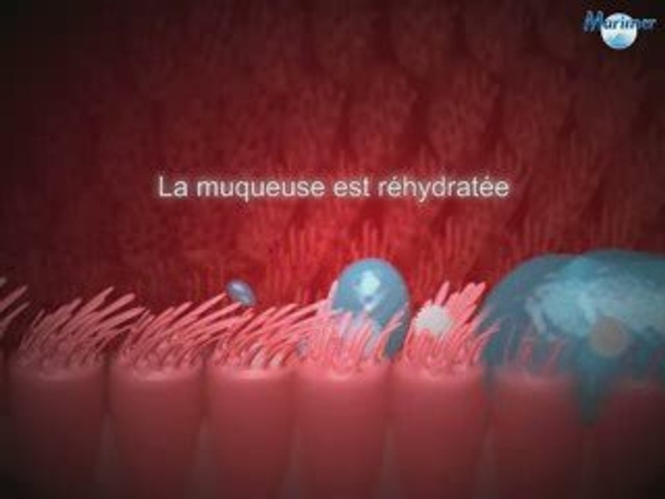Marimer isotonique