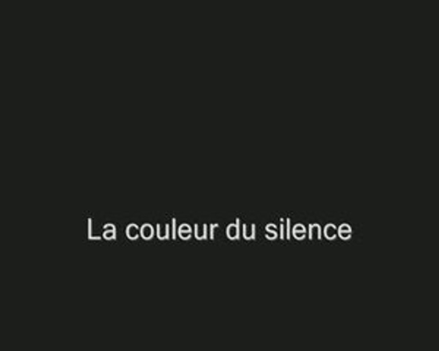 LA COULEUR DU SILENCE