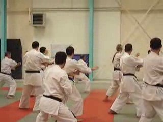Sato - shorinji ryu- Kata Passai plan2