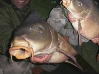 carpe record