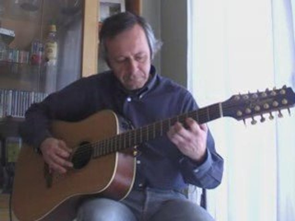 guitare 12 cordes