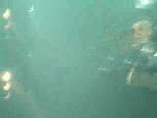 Fall out boy Strasbourg. Vidéo 4.