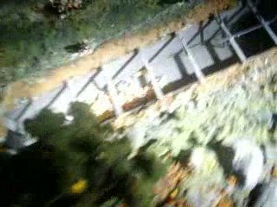 AUSCHWITZ~ New arrivals (A Memorial for a Witness/Father)