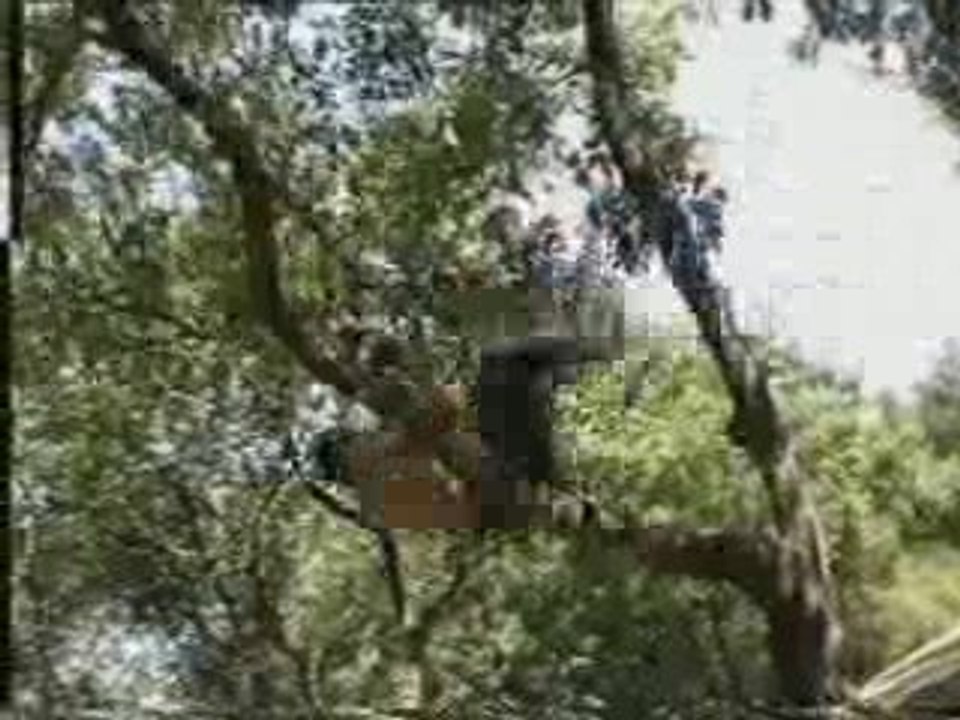 Parkour