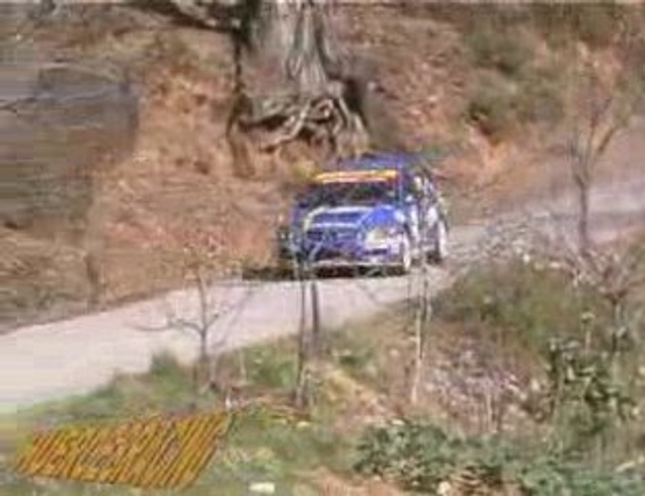 Rally del Bierzo 2009