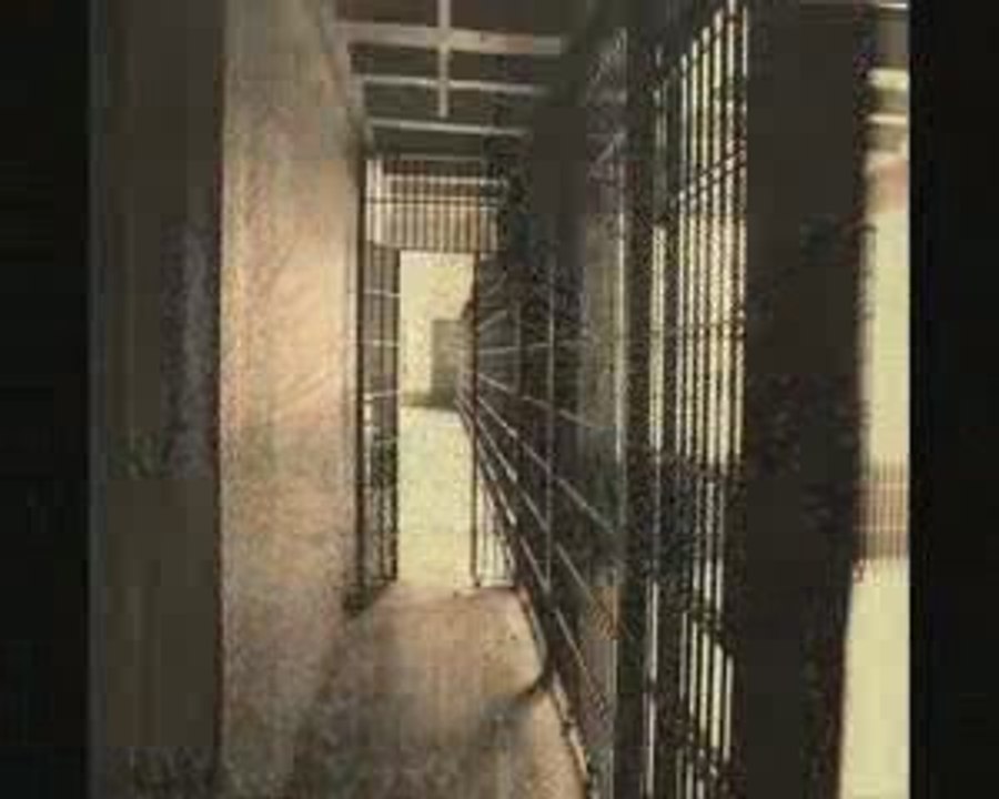 TSR CREW LA RELEVE DU RAP FRANCAIS A VOIR!!!!!!!!