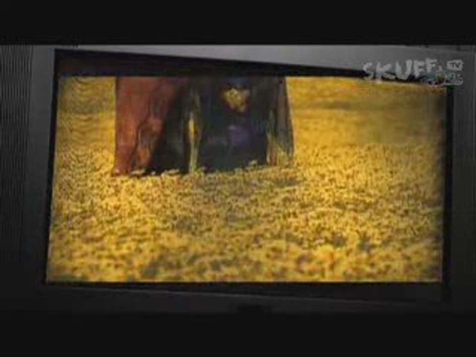 Stretching the Surfing Canvas...