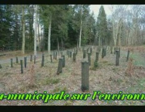 Bois de Lourdes Hautes-Pyrénées Christian Agius