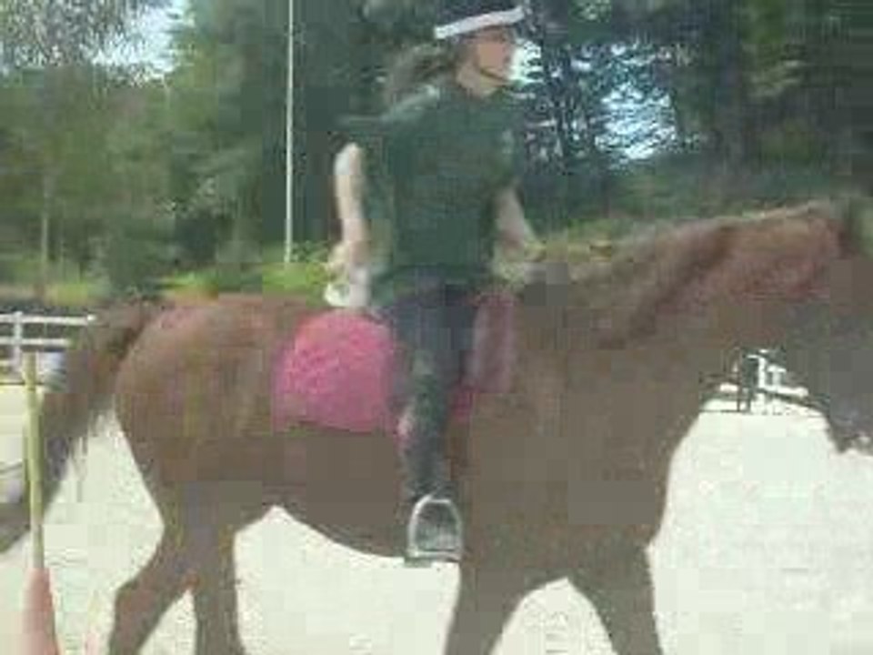 2 tasses le 29 juin 2008 pony games