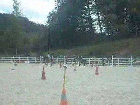 Carton le 29 juin 2008 pony games