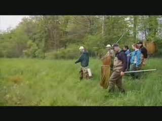 Frog, Chemical, Water , grenouille indicateur de pollution