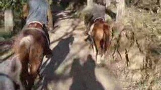 à cheval sur les pistes du massif des maures