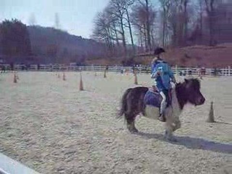 2 tasses le 22 mars 2009 pony games