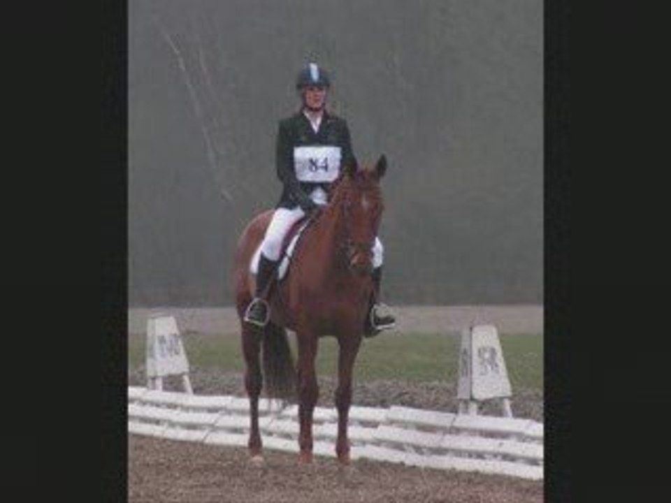 Cce 22 mars 2009     WALLERS