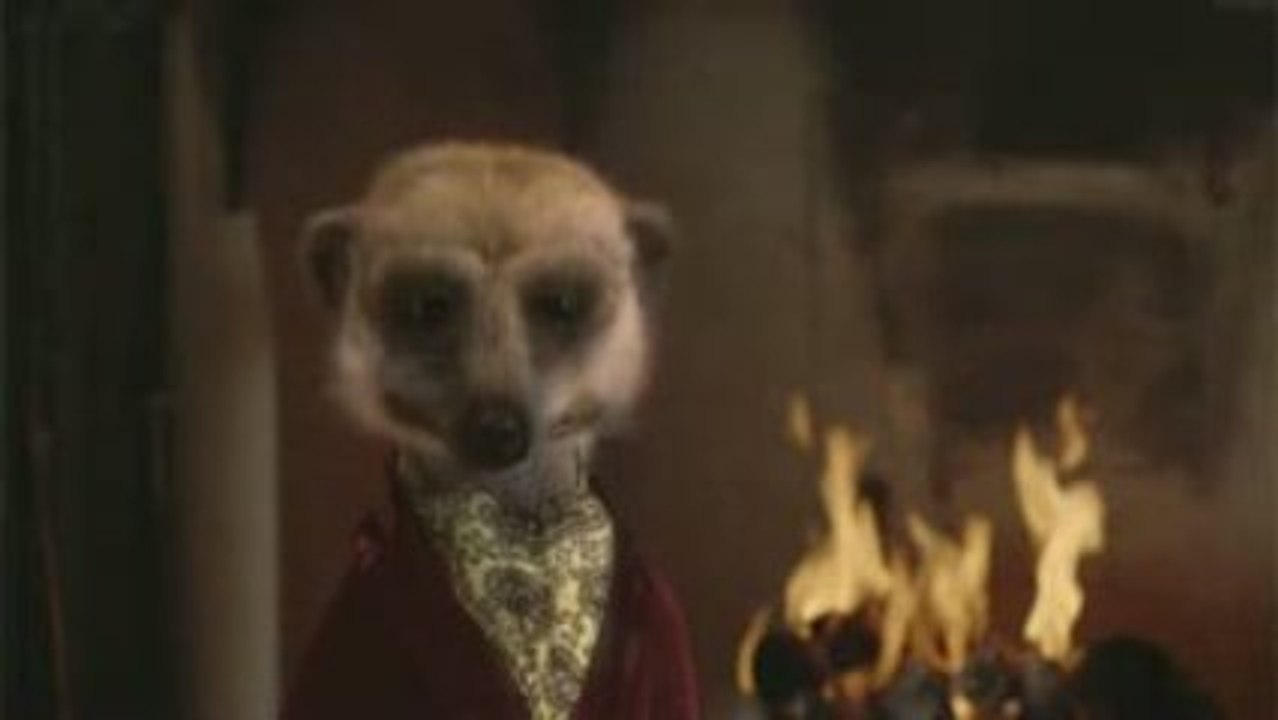 Comparethemeerkat.com TV outtakes
