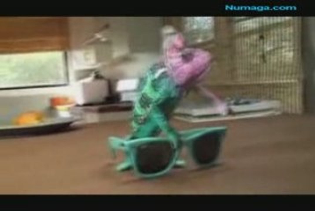 Chameleon Sunglassess