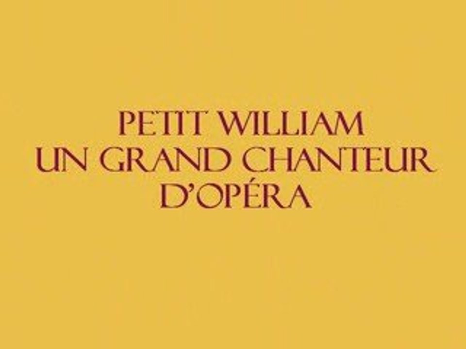 Chanteur d'opéra