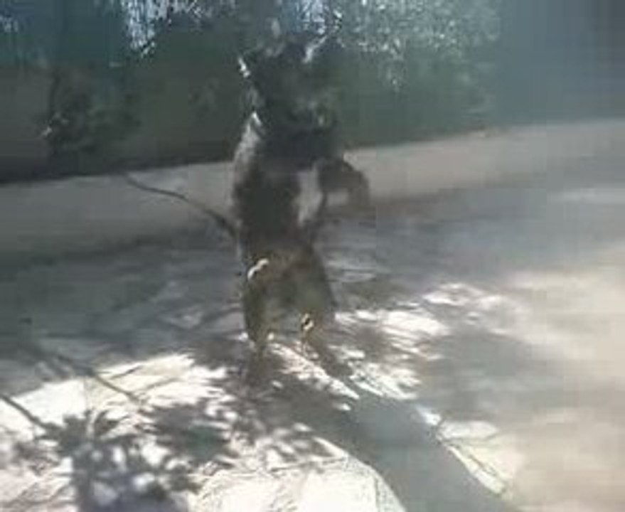 max agé de 4mois