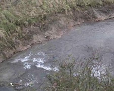 la reproduction des truites Fario dans la rivière Selle