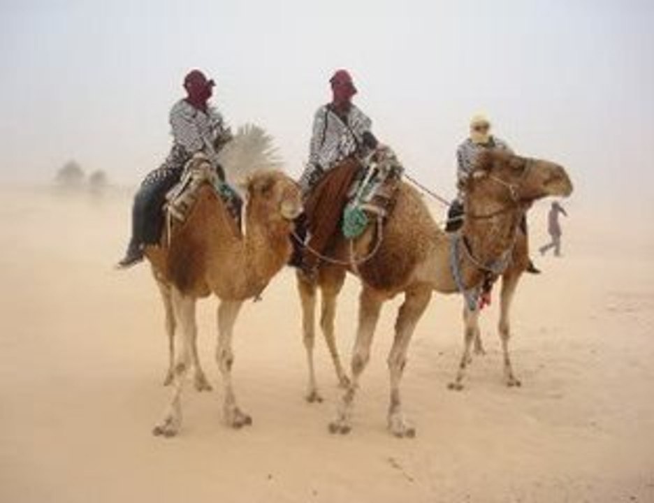 Vacances en Tunisie-Djerba