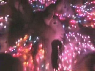 Des moutons élevés au rang d'oeuvre d'art ?