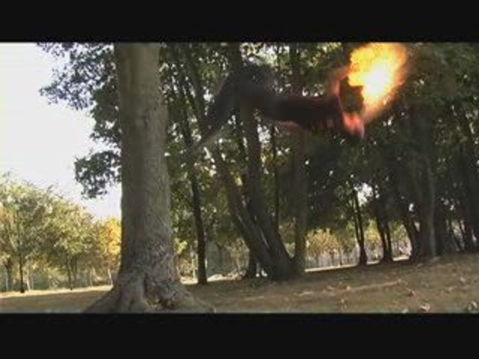 TRAILER Faya Burn Street association